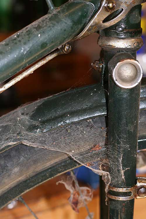 Grandad-bike-cobwebs